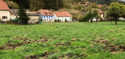 Terrain seul à Rombach-le-Franc en Haut-Rhin (68) de 1488 m² à vendre au prix de 80000€
