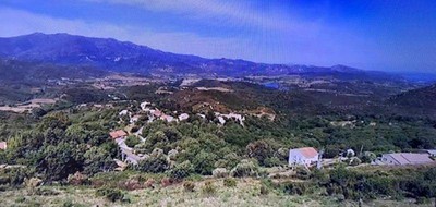 Terrain seul à Olmeta-di-Tuda en Haute-Corse (2B) de 3090 m² à vendre au prix de 267027€