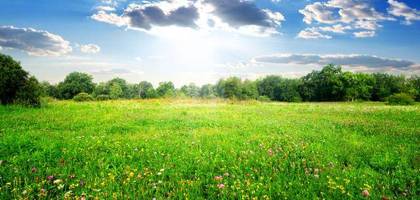 Terrain seul à Villeperdue en Indre-et-Loire (37) de 600 m² à vendre au prix de 60000€