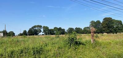 Terrain seul à Vismes en Somme (80) de 1000 m² à vendre au prix de 26000€ - 1
