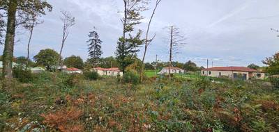 Terrain seul à Saint-Priest-sous-Aixe en Haute-Vienne (87) de 1000 m² à vendre au prix de 30000€ - 1