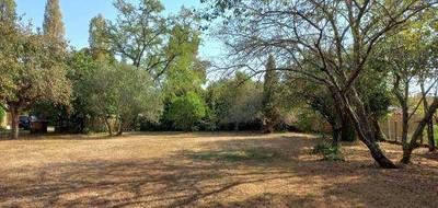 Terrain seul à Targon en Gironde (33) de 727 m² à vendre au prix de 7900€ - 1