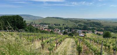 Terrain seul à Orschwihr en Haut-Rhin (68) de 0 m² à vendre au prix de 64300€ - 1