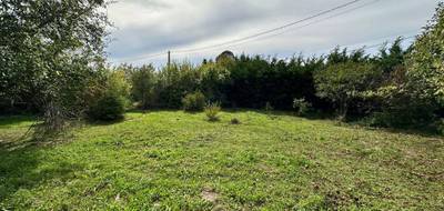Terrain seul à Souppes-sur-Loing en Seine-et-Marne (77) de 0 m² à vendre au prix de 35000€ - 1