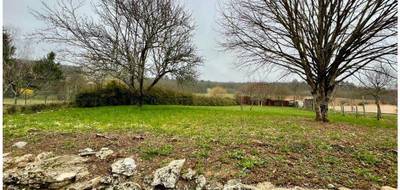 Terrain seul à Brosses en Yonne (89) de 0 m² à vendre au prix de 19000€ - 1