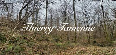 Terrain seul à Escalans en Landes (40) de 76385 m² à vendre au prix de 75000€ - 1