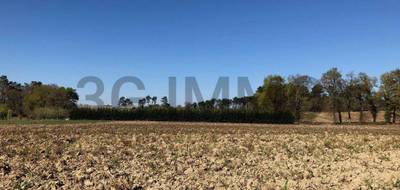Terrain seul à Momuy en Landes (40) de 0 m² à vendre au prix de 27500€ - 1