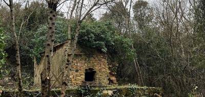 Terrain seul à Saint-Vincent-d'Olargues en Hérault (34) de 796 m² à vendre au prix de 16000€ - 1