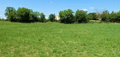 Terrain seul à Lacapelle-Livron en Tarn-et-Garonne (82) de 2090 m² à vendre au prix de 20900€ - 4