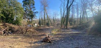 Terrain seul à Étampes en Essonne (91) de 2000 m² à vendre au prix de 87000€ - 1