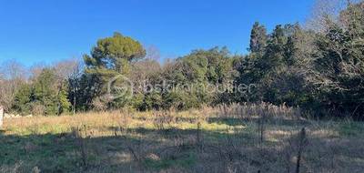 Terrain seul à Montpellier en Hérault (34) de 1038 m² à vendre au prix de 650000€ - 1