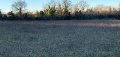 Terrain seul à Saint-Jean-d'Angély en Charente-Maritime (17) de 1014 m² à vendre au prix de 19300€ - 1