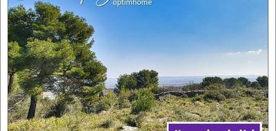Terrain seul à Clermont-l'Hérault en Hérault (34) de 3865 m² à vendre au prix de 38000€ - 1