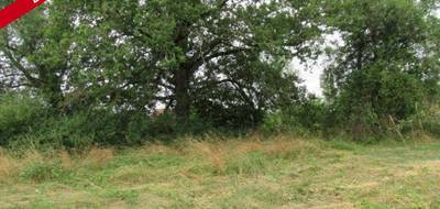 Terrain seul à Vendat en Allier (03) de 1730 m² à vendre au prix de 54000€ - 1
