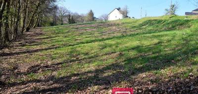 Terrain seul à Treignac en Corrèze (19) de 3657 m² à vendre au prix de 19000€ - 3