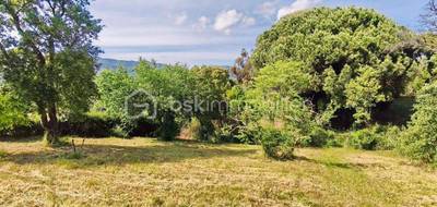 Terrain seul à Cuttoli-Corticchiato en Corse-du-Sud (2A) de 2862 m² à vendre au prix de 230000€ - 1