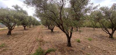 Terrain seul à Pézenas en Hérault (34) de 7000 m² à vendre au prix de 29000€ - 1