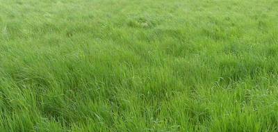 Terrain seul à Précy-sous-Thil en Côte-d'Or (21) de 1590 m² à vendre au prix de 20000€ - 1