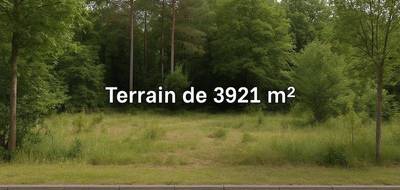 Terrain seul à Ervauville en Loiret (45) de 3921 m² à vendre au prix de 38500€ - 1