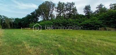 Terrain seul à Villeneuve-sur-Yonne en Yonne (89) de 1501 m² à vendre au prix de 30000€ - 3