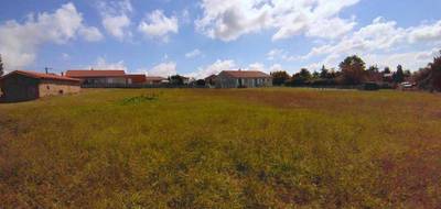 Terrain seul à Cordelle en Loire (42) de 877 m² à vendre au prix de 59000€ - 3