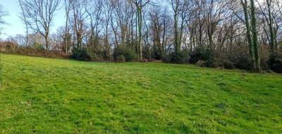Terrain seul à Buros en Pyrénées-Atlantiques (64) de 5000 m² à vendre au prix de 120000€ - 1