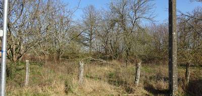 Terrain seul à Chuelles en Loiret (45) de 1341 m² à vendre au prix de 22000€ - 1