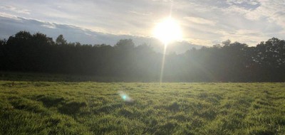 Terrain seul à Sénas en Bouches-du-Rhône (13) de 300 m² à vendre au prix de 149900€