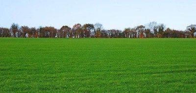 Terrain seul à Piolenc en Vaucluse (84) de 400 m² à vendre au prix de 80000€