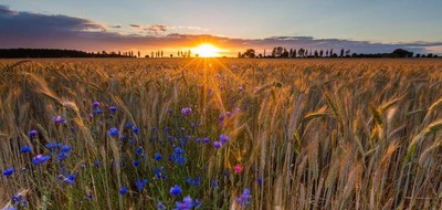 Terrain seul à Les Pins en Charente (16) de 1780 m² à vendre au prix de 21000€