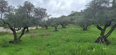 Terrain seul à Peipin en Alpes-de-Haute-Provence (04) de 1570 m² à vendre au prix de 79000€