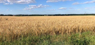Terrain seul à Ciron en Indre (36) de 1000 m² à vendre au prix de 10000€