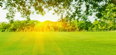 Terrain seul à Sainte-Menehould en Marne (51) de 756 m² à vendre au prix de 27125€