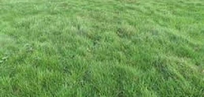 Terrain seul à Château-Landon en Seine-et-Marne (77) de 750 m² à vendre au prix de 35000€