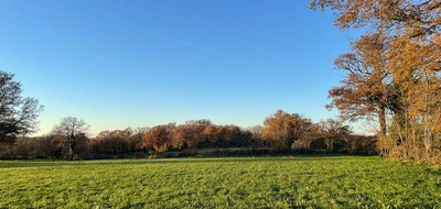 Terrain seul à Mosnay en Indre (36) de 1300 m² à vendre au prix de 12500€