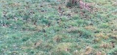 Terrain seul à Égreville en Seine-et-Marne (77) de 1000 m² à vendre au prix de 52000€