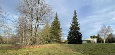 Terrain seul à Montrieux-en-Sologne en Loir-et-Cher (41) de 996 m² à vendre au prix de 26000€