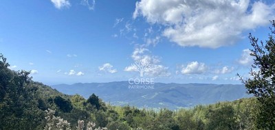 Terrain seul à Olmeto en Corse-du-Sud (2A) de 2400 m² à vendre au prix de 190000€