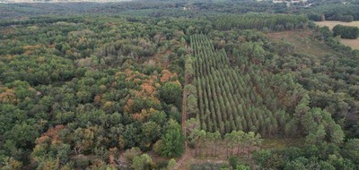 Terrain seul à Lüe en Landes (40) de 12105 m² à vendre au prix de 9000€