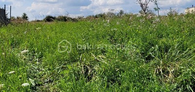 Terrain seul à Punchy en Somme (80) de 557 m² à vendre au prix de 23000€