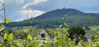 Terrain seul à Bergheim en Haut-Rhin (68) de 1100 m² à vendre au prix de 293000€