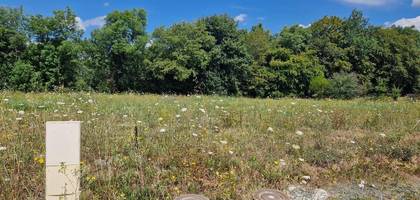 Terrain seul à Santenay en Loir-et-Cher (41) de 788 m² à vendre au prix de 22500€