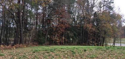 Terrain seul à Darnets en Corrèze (19) de 1173 m² à vendre au prix de 14076€