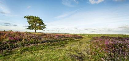 Terrain seul à La Tour-Saint-Gelin en Indre-et-Loire (37) de 1400 m² à vendre au prix de 21800€