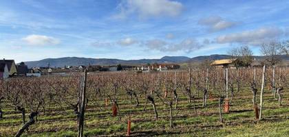 Terrain seul à Beblenheim en Haut-Rhin (68) de 1000 m² à vendre au prix de 271000€