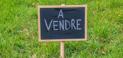 Terrain seul à Monthou-sur-Bièvre en Loir-et-Cher (41) de 600 m² à vendre au prix de 55000€