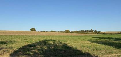 Terrain seul à Lamontjoie en Lot-et-Garonne (47) de 1200 m² à vendre au prix de 50000€