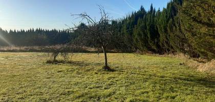 Terrain seul à Le Bouscat en Gironde (33) de 340 m² à vendre au prix de 476000€