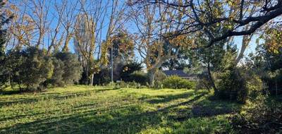 Terrain seul à Maussane-les-Alpilles en Bouches-du-Rhône (13) de 254 m² à vendre au prix de 145000€ - 1