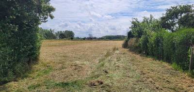 Terrain seul à Ardres en Pas-de-Calais (62) de 860 m² à vendre au prix de 63500€ - 1